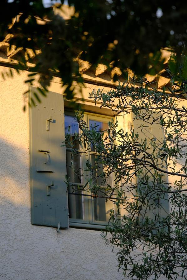 Domaine Le Bois Des Dames Bed and Breakfast Chantemerle-lès-Grignan Eksteriør billede