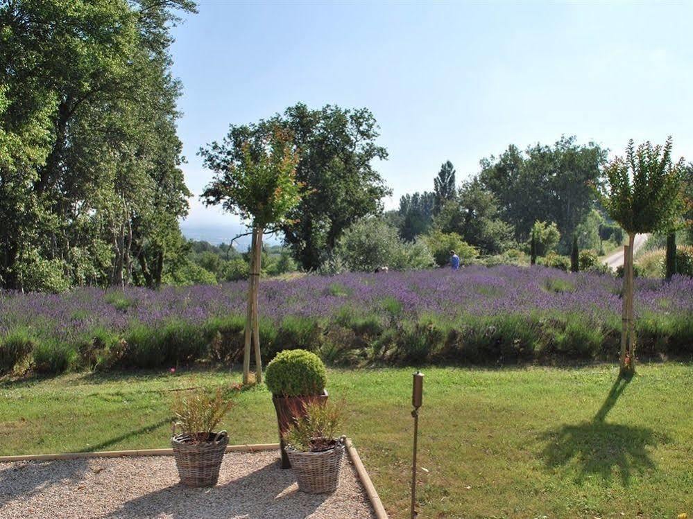 Domaine Le Bois Des Dames Bed and Breakfast Chantemerle-lès-Grignan Eksteriør billede